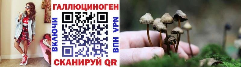 Псилоцибиновые грибы MAGIC MUSHROOMS  где можно купить наркотик  Северодвинск 